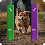 Training Whistle